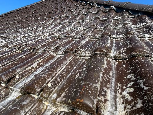 Réalisation velux BK Couverture à Schiltigheim (24)