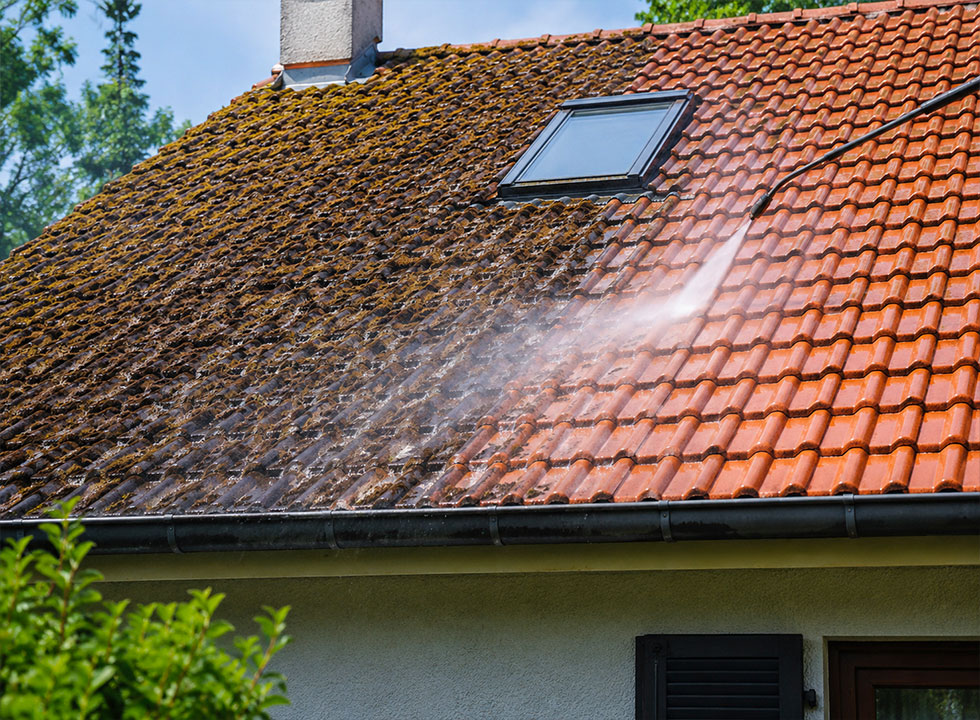 Travaux Démoussage et nettoyage de toiture 67